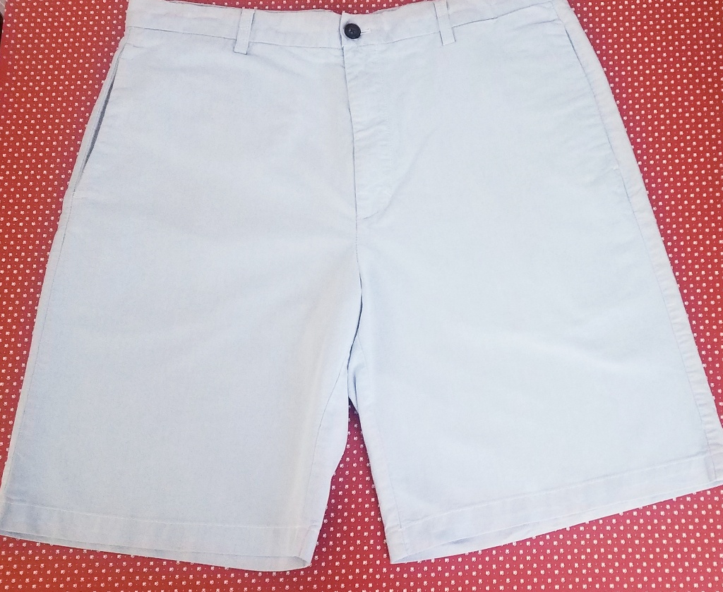 Men's Izod Shorts